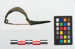 Foto von Bronzekahnfibel (NHMW-PRAE-023654)